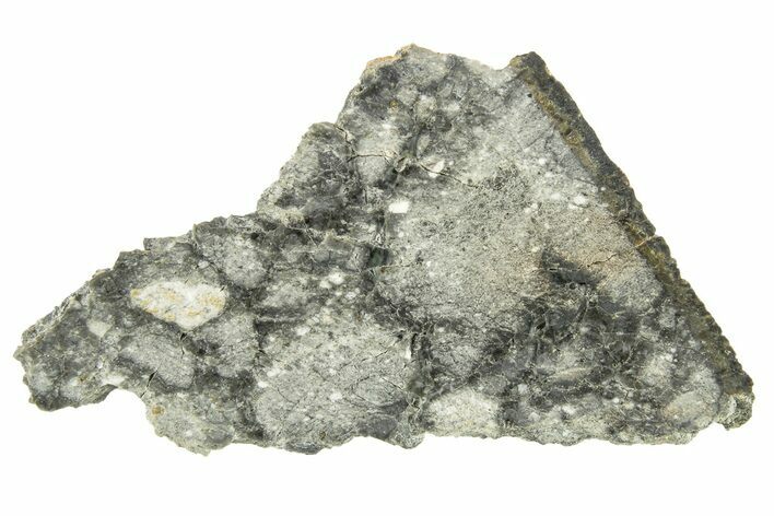 Polished Apollo Lunar Meteorite Slice ( g) - Gadamis #263240